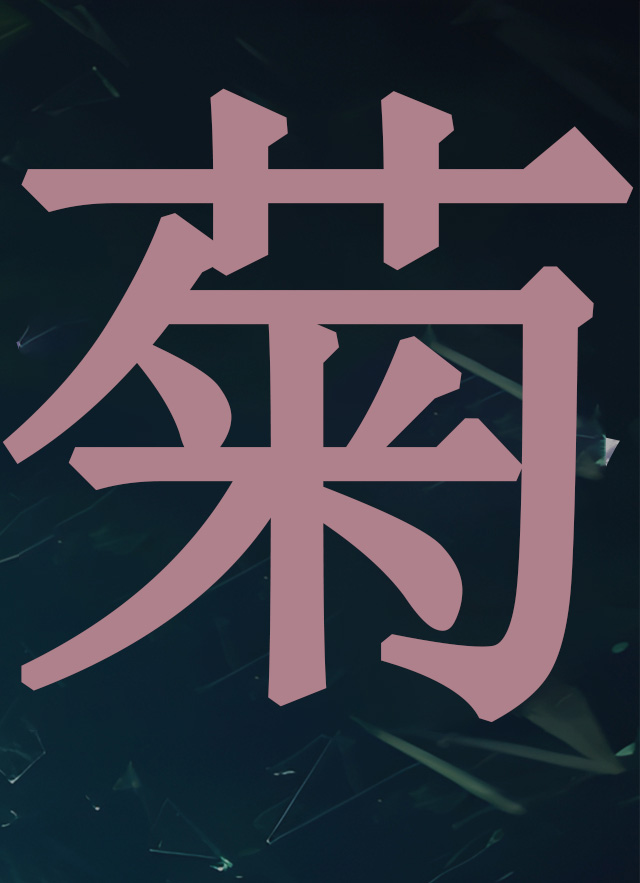 企业网站建设